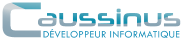 Caussinus - Developper Informatique